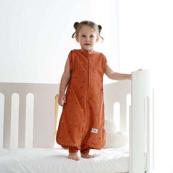 Owli Uyku Gurusu 1.5 Tog Charm - 1